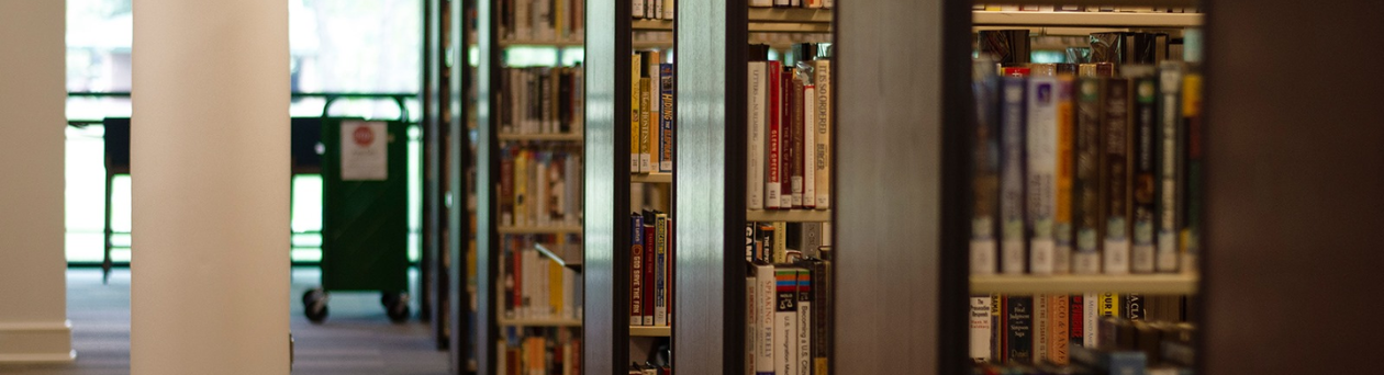 Photo of library book shelves