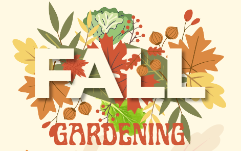 Image for event: Fall Gardening