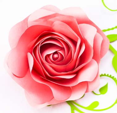 Image for event: Paper Flowers Craft Night