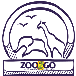 Image for event: Zoo2Go